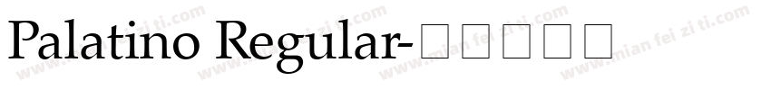 Palatino Regular字体转换